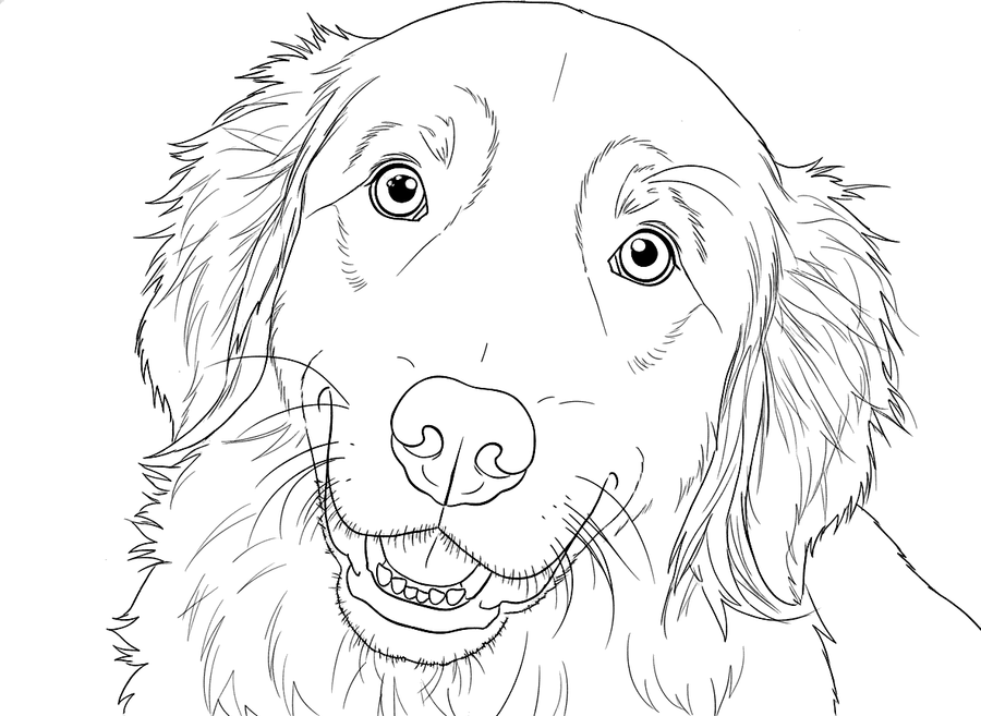 Colouring page of a girl playing with her dog in the garden
